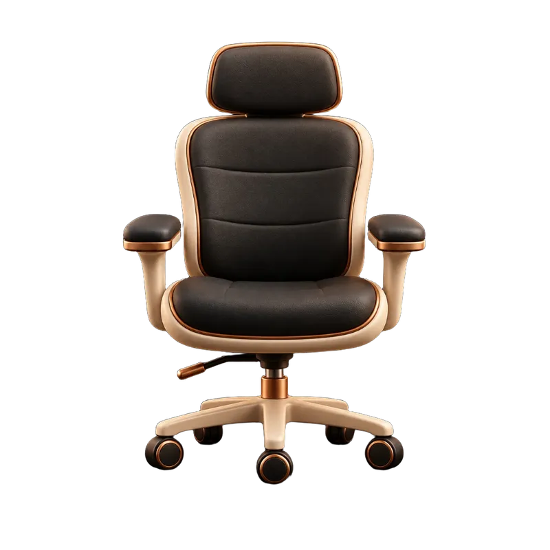 Ergonomic Seating